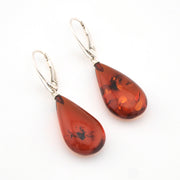 Teardrop-shaped amber earrings with silver hooks on a white background