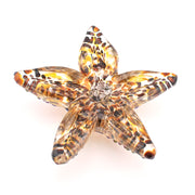 Bottom Glass Golden Starfish