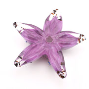 Bottom Glass Lilac Starfish
