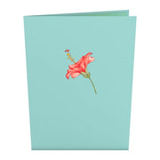 Card Front Hibiscus Bloom Pop Up Card