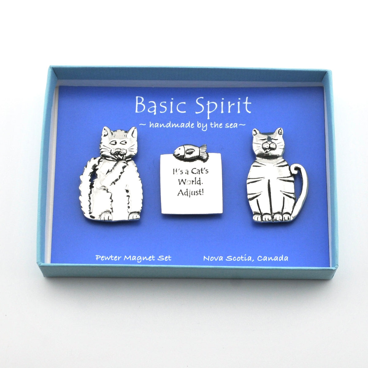 Cat magnet set in a blue box on white background.