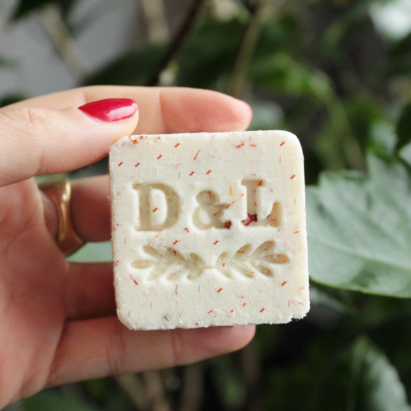 Hand holding a bath cube with 'D&D' branding against a blurred green leafy background