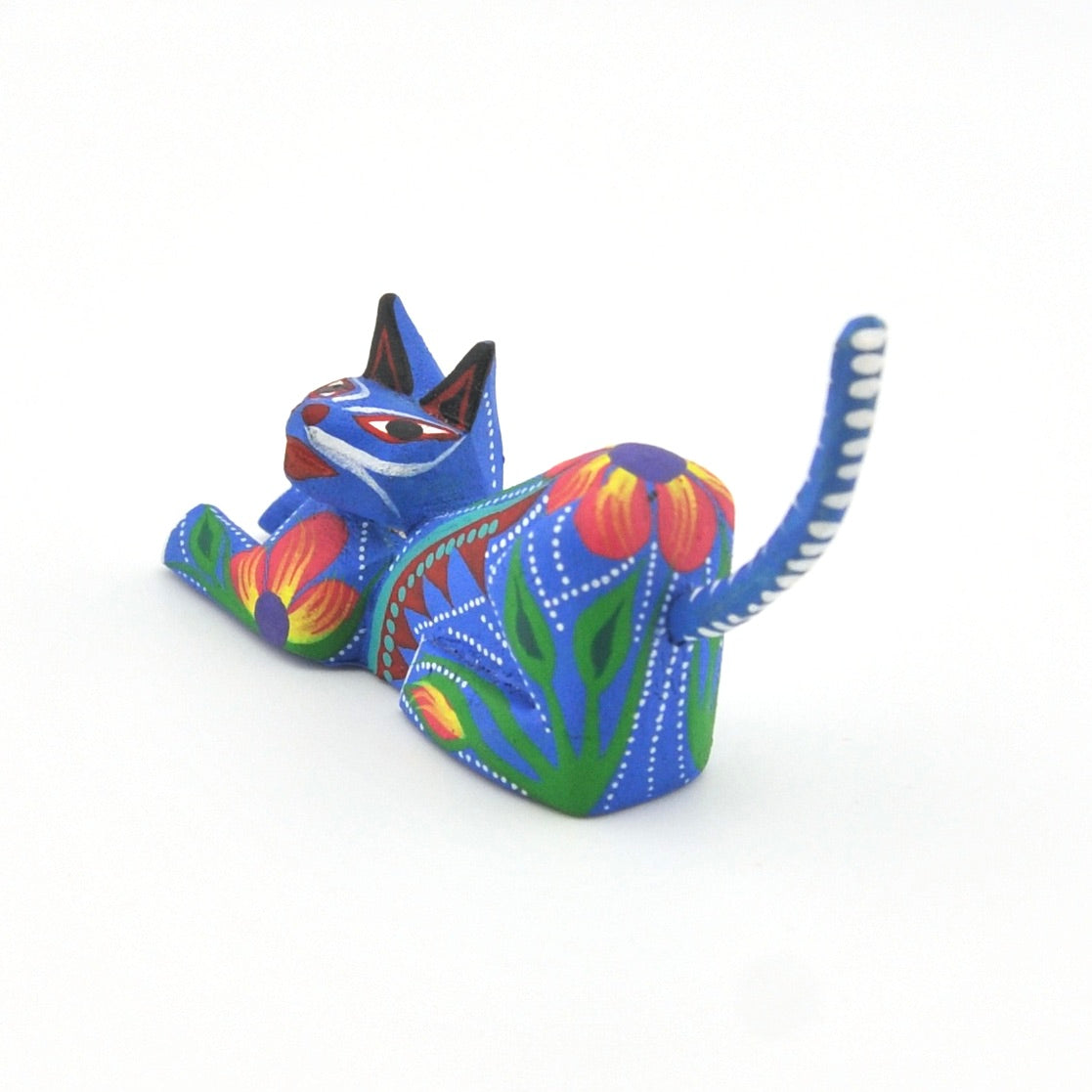 Oaxacan Cat Resting by B Munoz