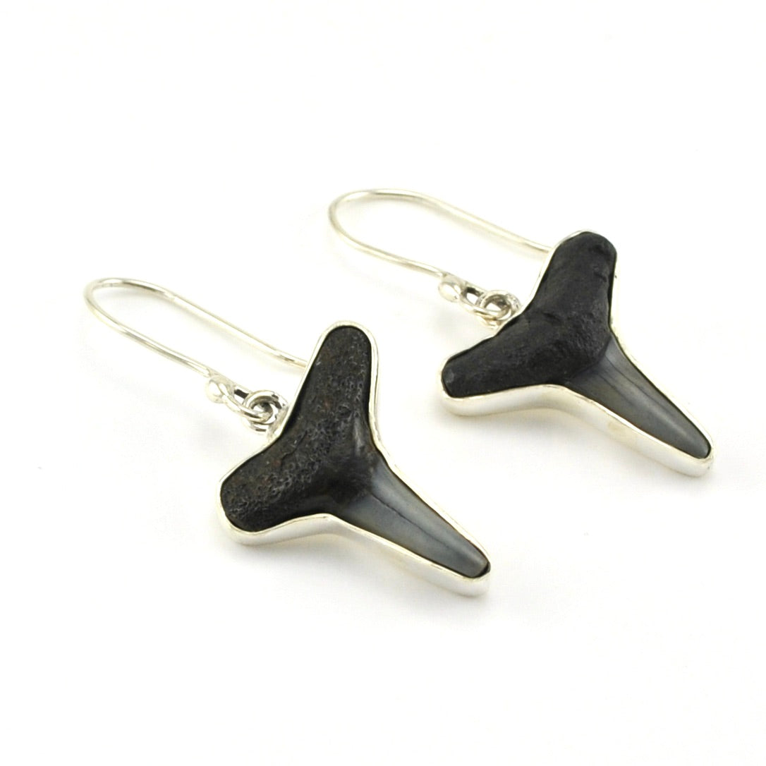 Sterling Silver Fossil Shark Teeth Dangle Earrings