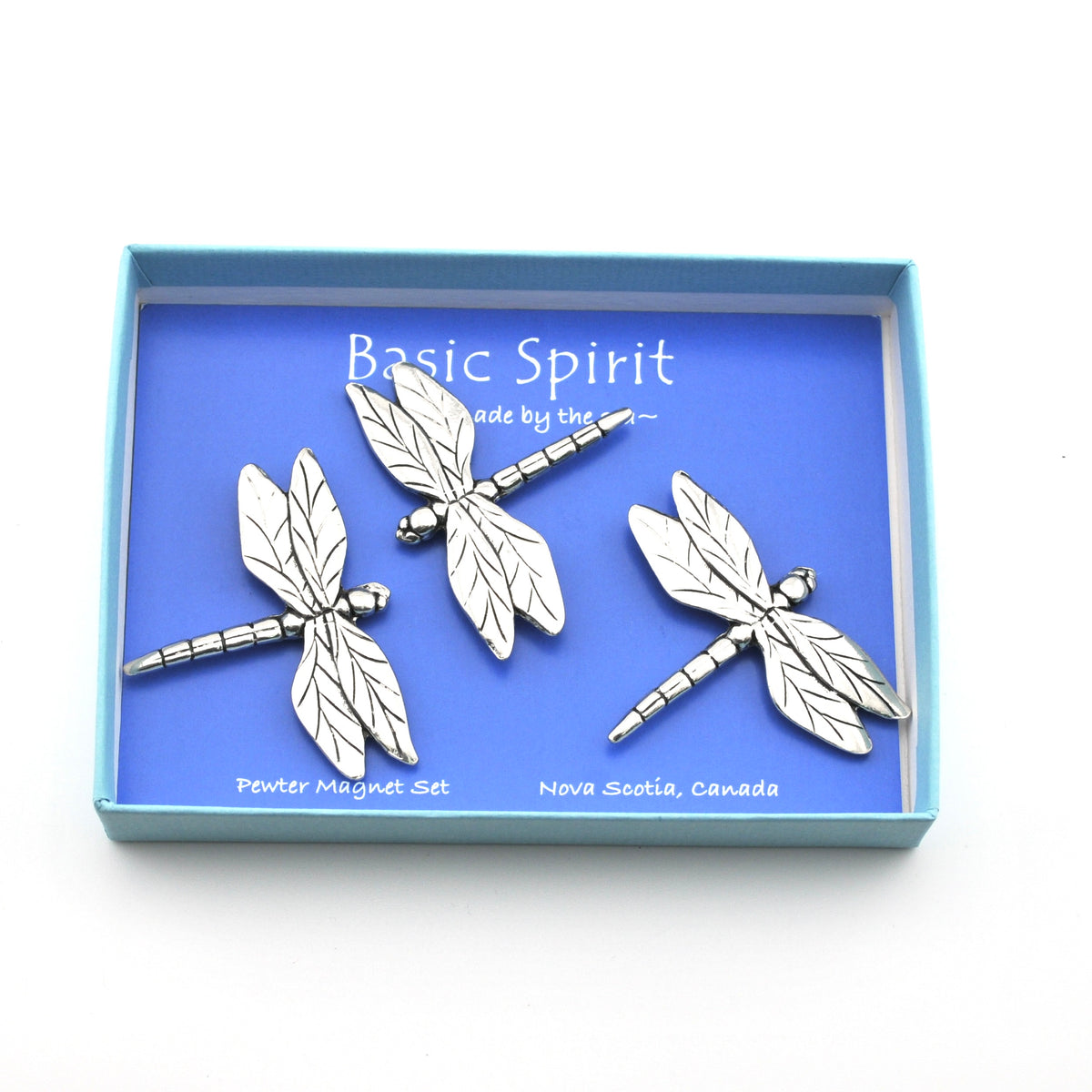 Three dragonfly magnets in blue box on white background.