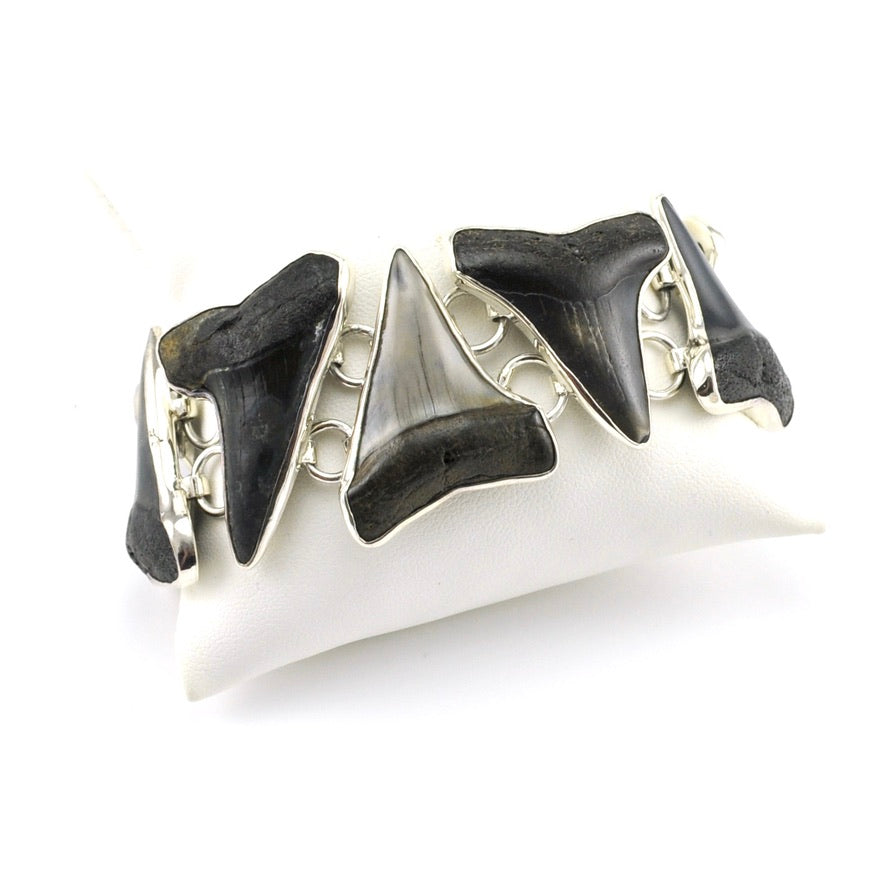 Sterling Silver Fossil Shark Tooth Link Bracelet