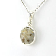 Side View Sterling Silver Fossil Sea Urchin Necklace