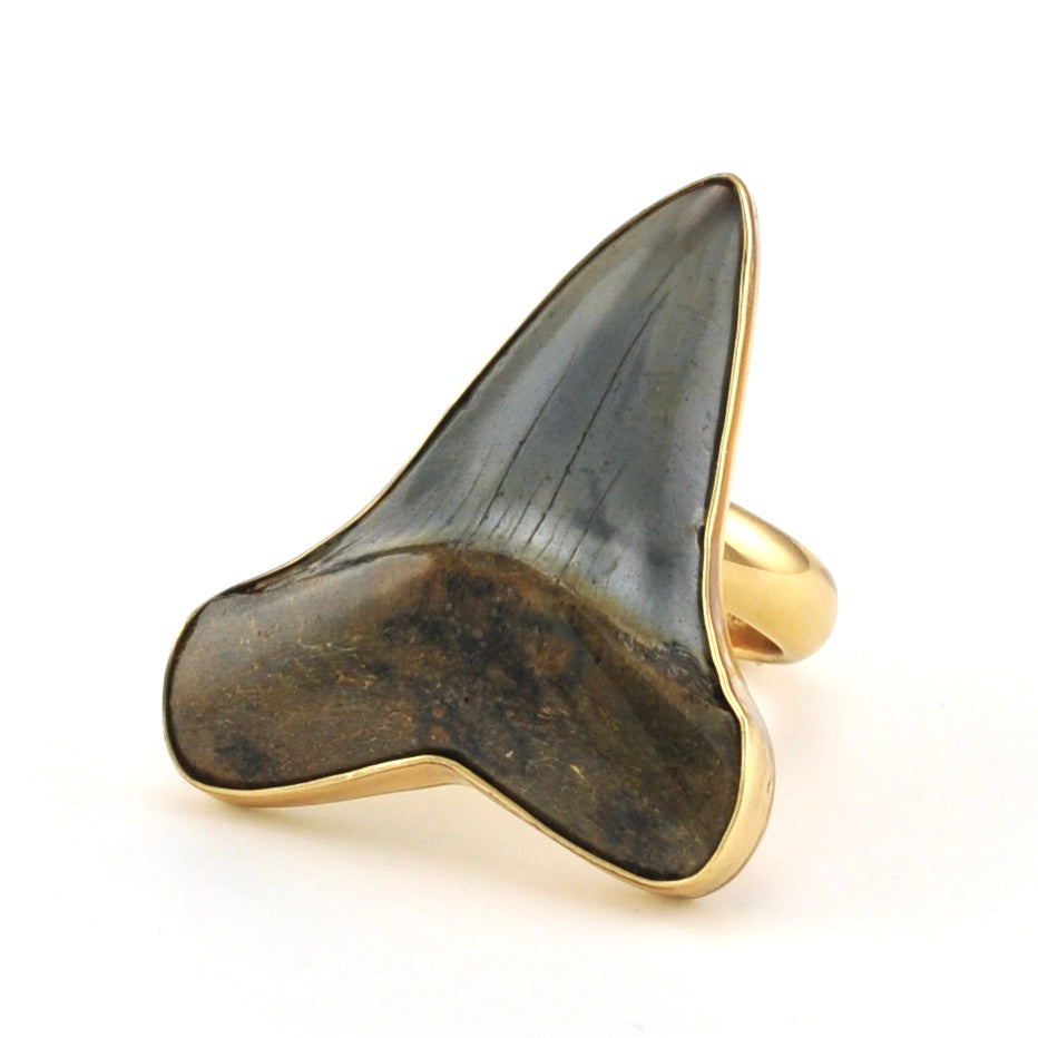 Alchemía Fossil Shark Tooth Ring