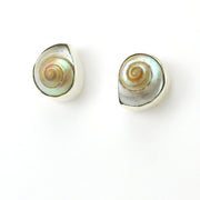 Sterling Silver Malabar Shell Post Earrings