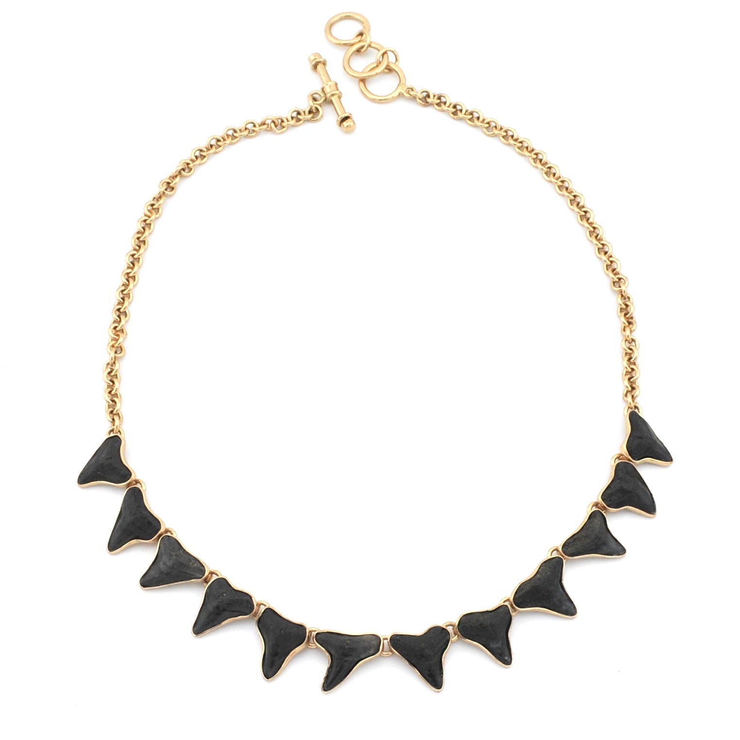 Fossil Shark Tooth Necklace