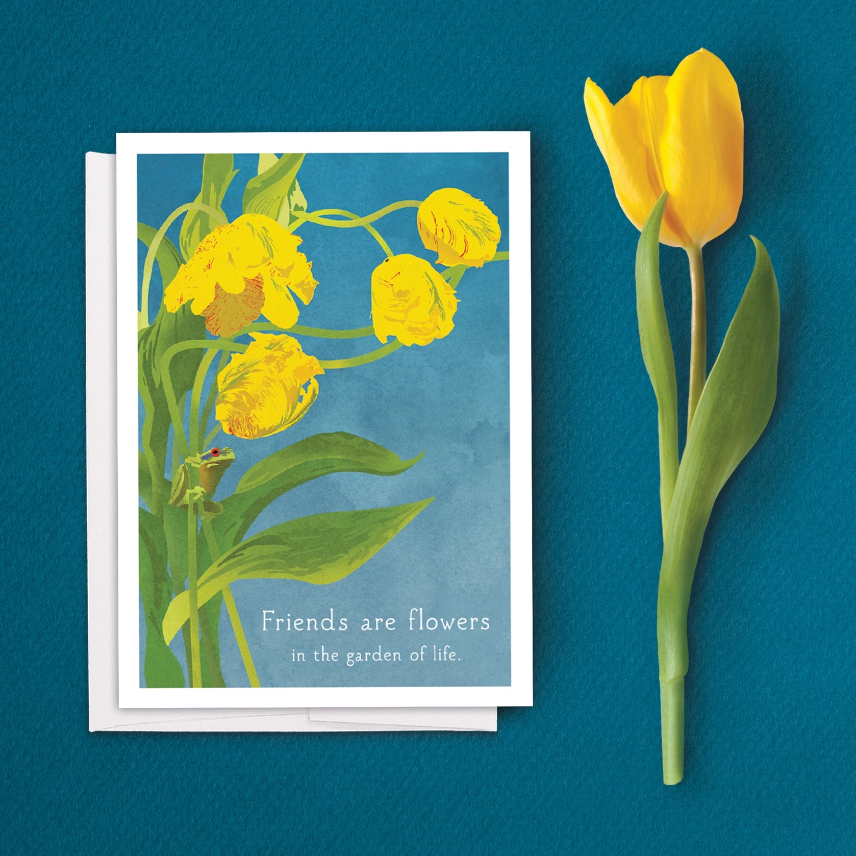 Frogs and Tulips Birthday Card on blue background