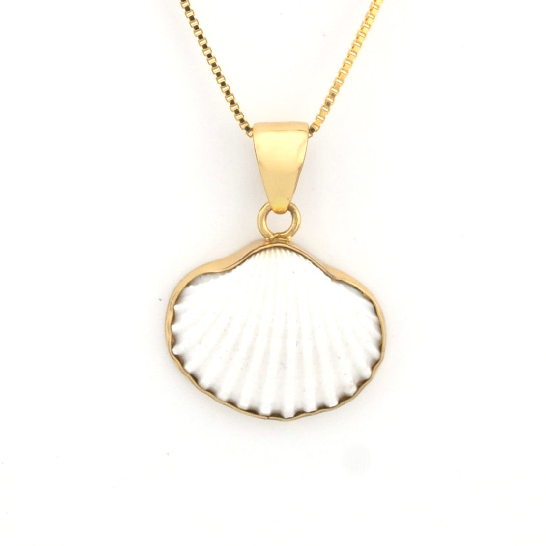 Gold necklace with a shell pendant on a white background