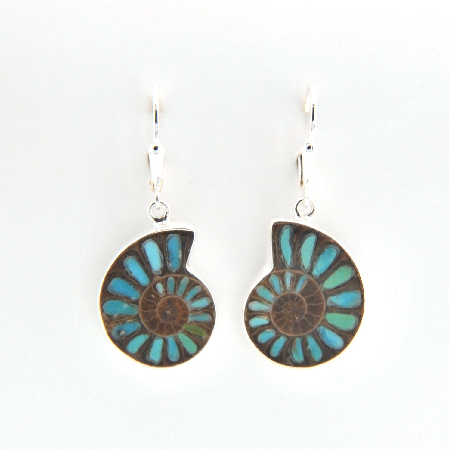 Pair of earrings with blue and brown circular design on a white background