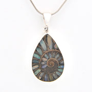 Teardrop-shaped fossil pendant on a white background