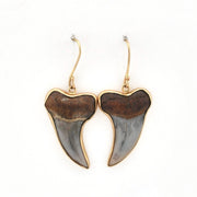 Front View Bakersfield Mako Shark Tooth Earrings