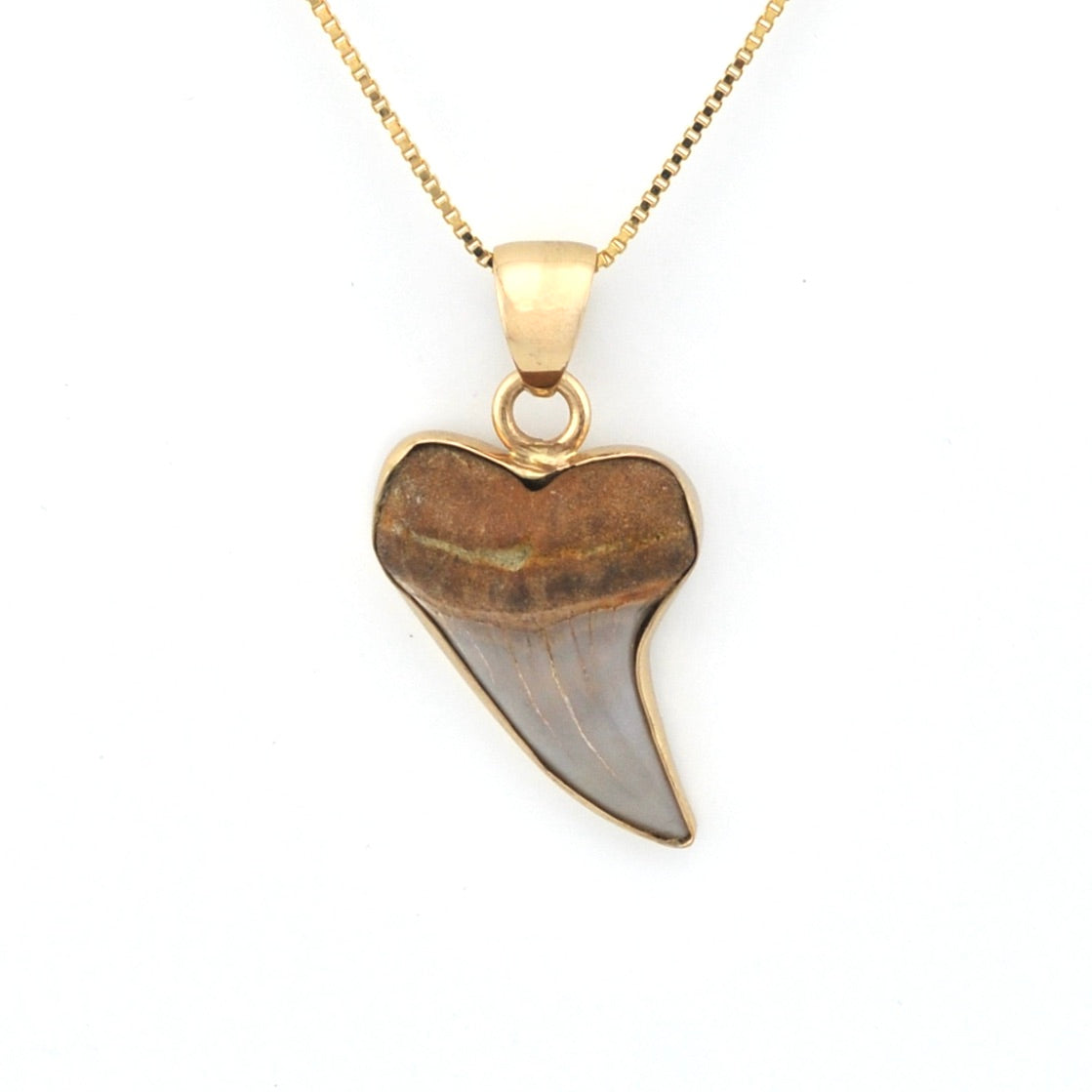 Front View Bakersfield Mako Shark Tooth Pendant