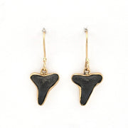 Front View Lemon Shark Tooth Earrings