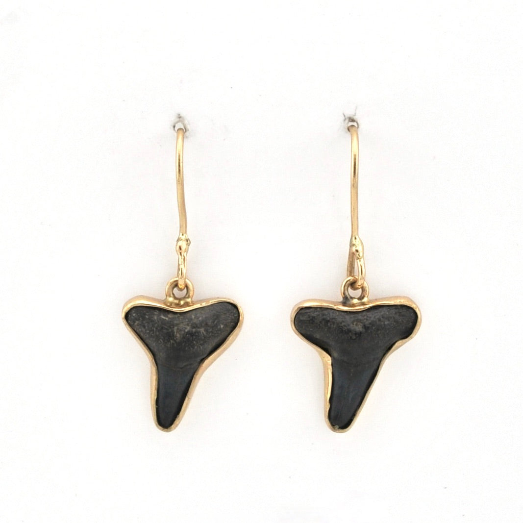 Front View Lemon Shark Tooth Earrings