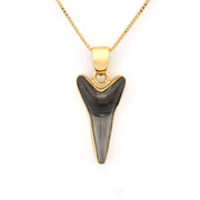 Front View Sand Tiger Shark Tooth Pendant