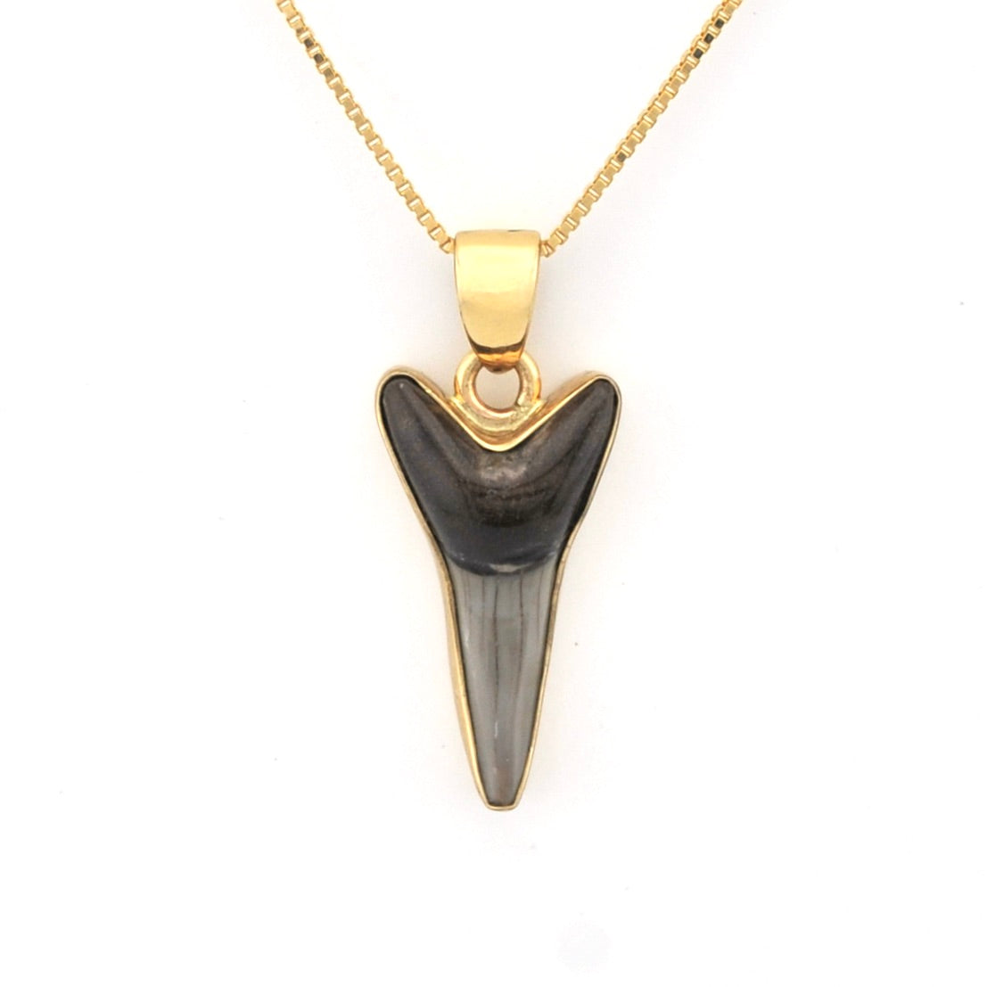 Front View Sand Tiger Shark Tooth Pendant