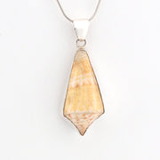Shell pendant necklace on a white background