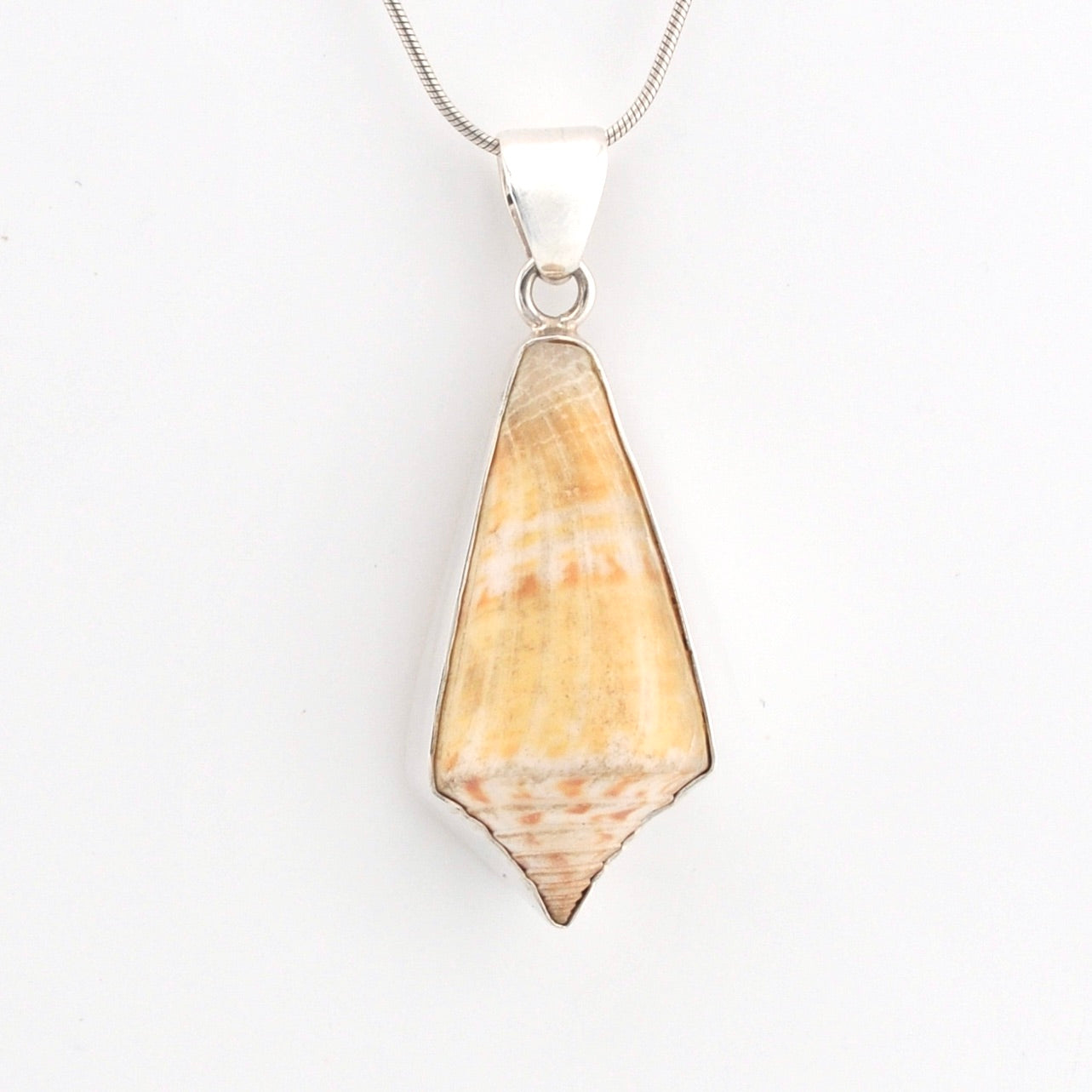 Shell pendant necklace on a white background