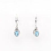 Pair of silver earrings with blue gemstones on a white background