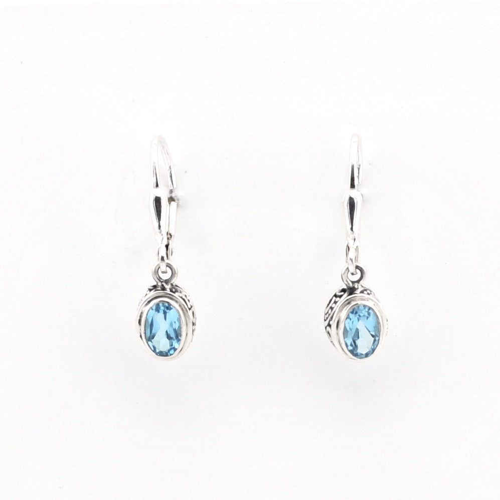 Pair of silver earrings with blue gemstones on a white background