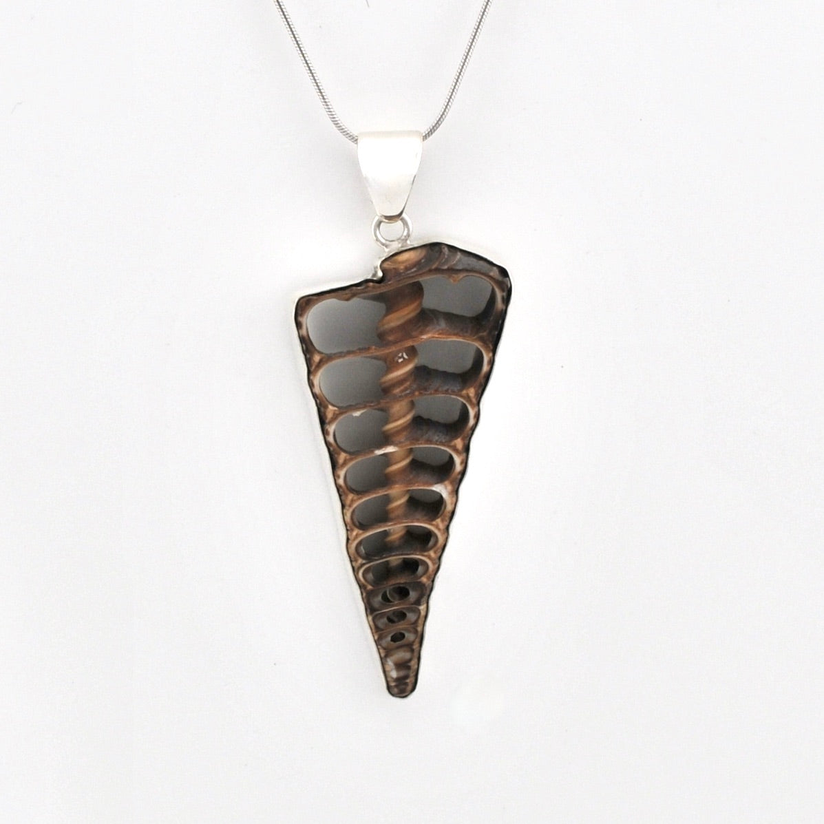 Front View Silver Cerithium Telescopium Shell Pendant