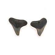 Two shark tooth-shaped earrings on a white background