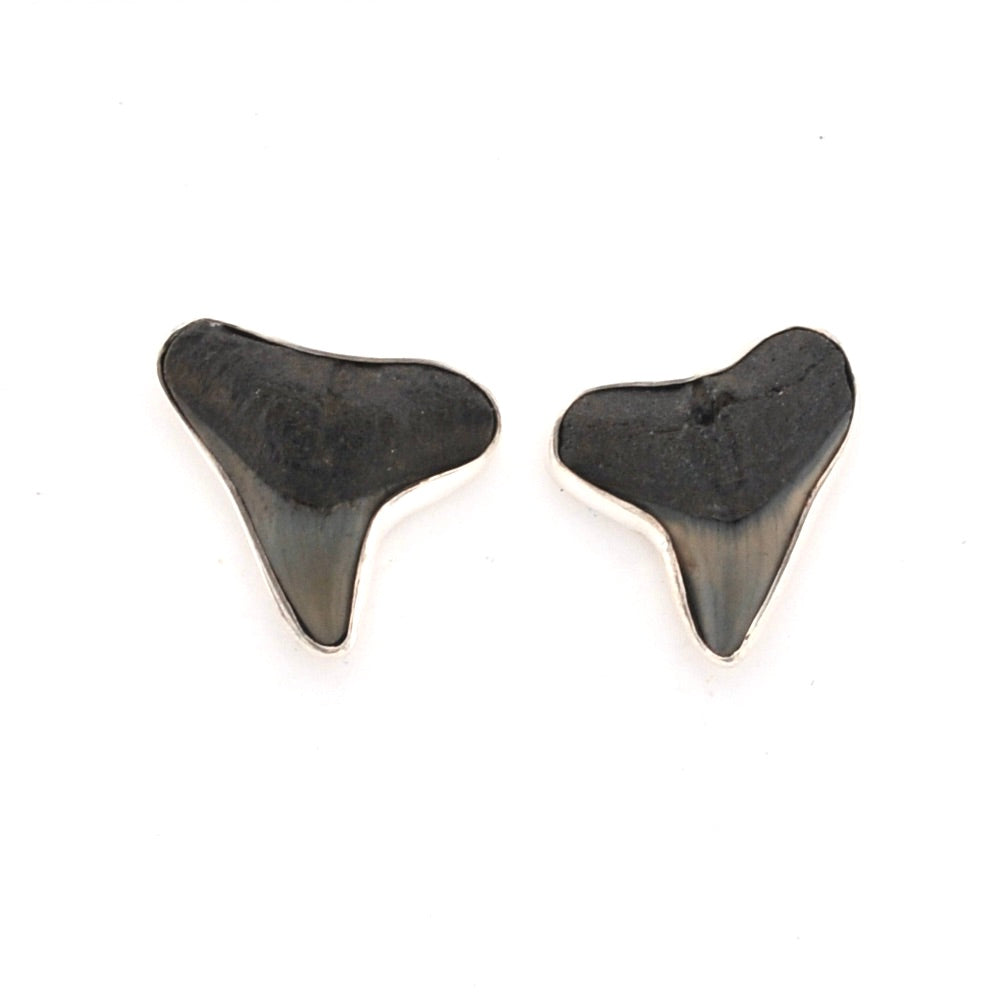 Two shark tooth-shaped earrings on a white background