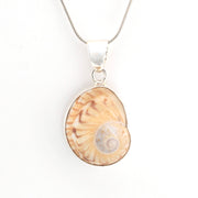 Shell pendant handmade with sterling silver on a white background