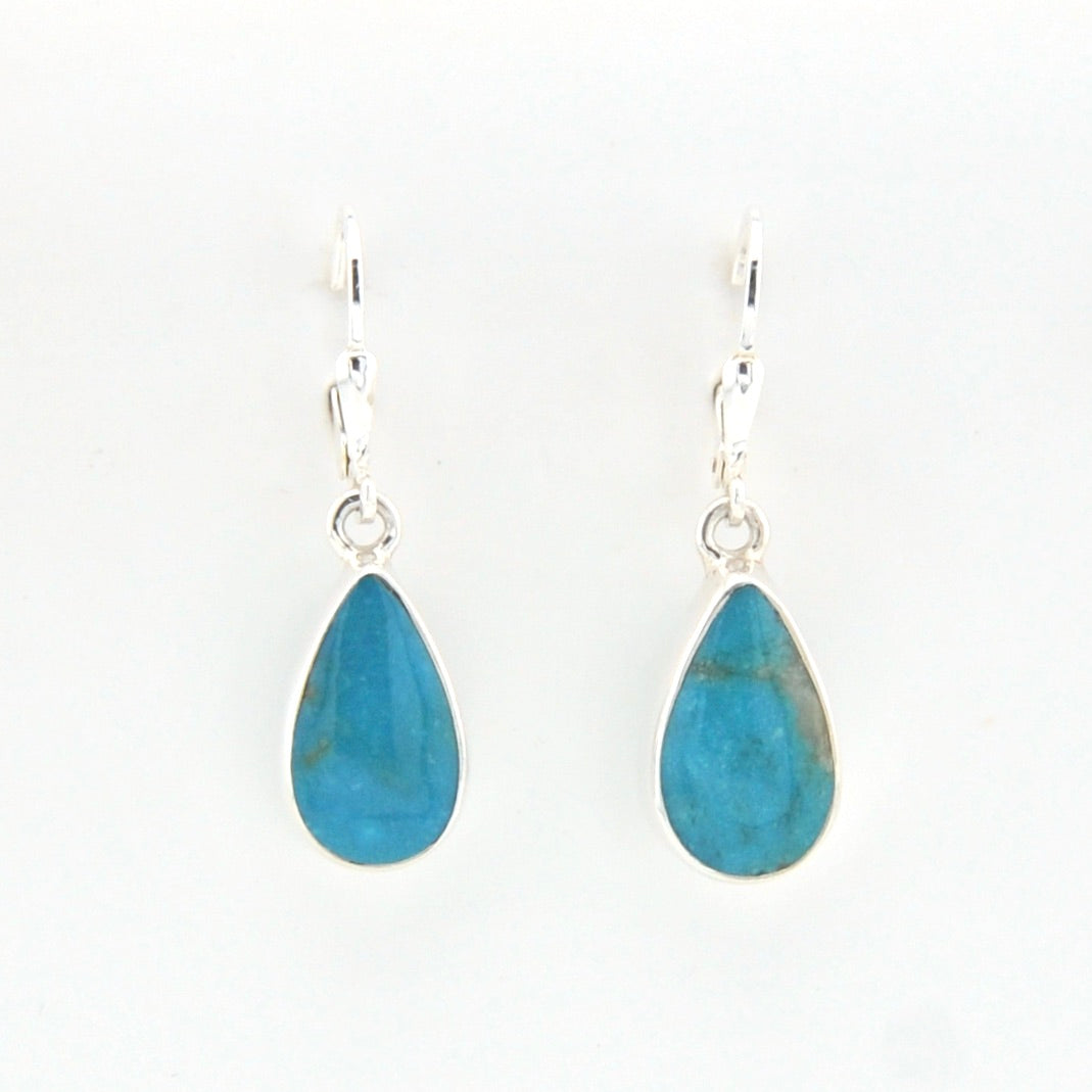 Teardrop-shaped blue earrings on a white background