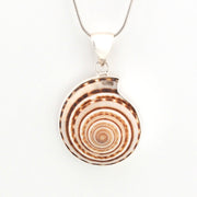 Round shell pendant on a white background