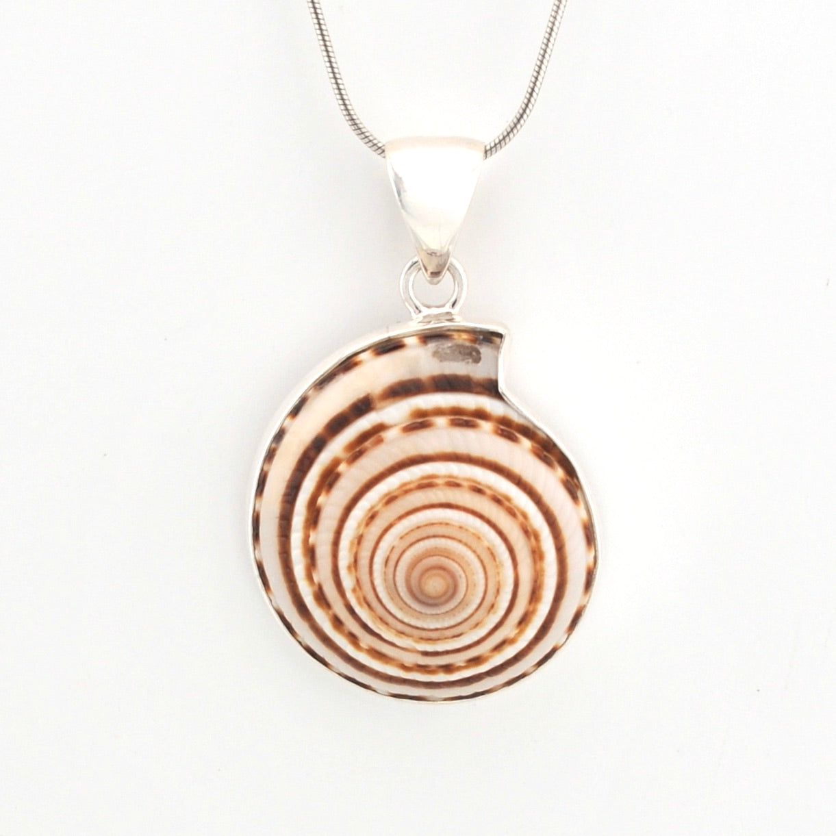 Round shell pendant on a white background