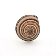 A spiral shell-shaped ring with concentric brown and cream stripes, photographed on a plain white background.