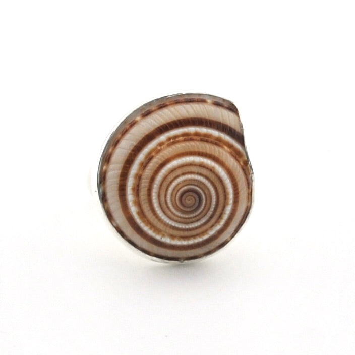 A spiral shell-shaped ring with concentric brown and cream stripes, photographed on a plain white background.