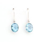 Pair of earrings with blue gemstones on a white background