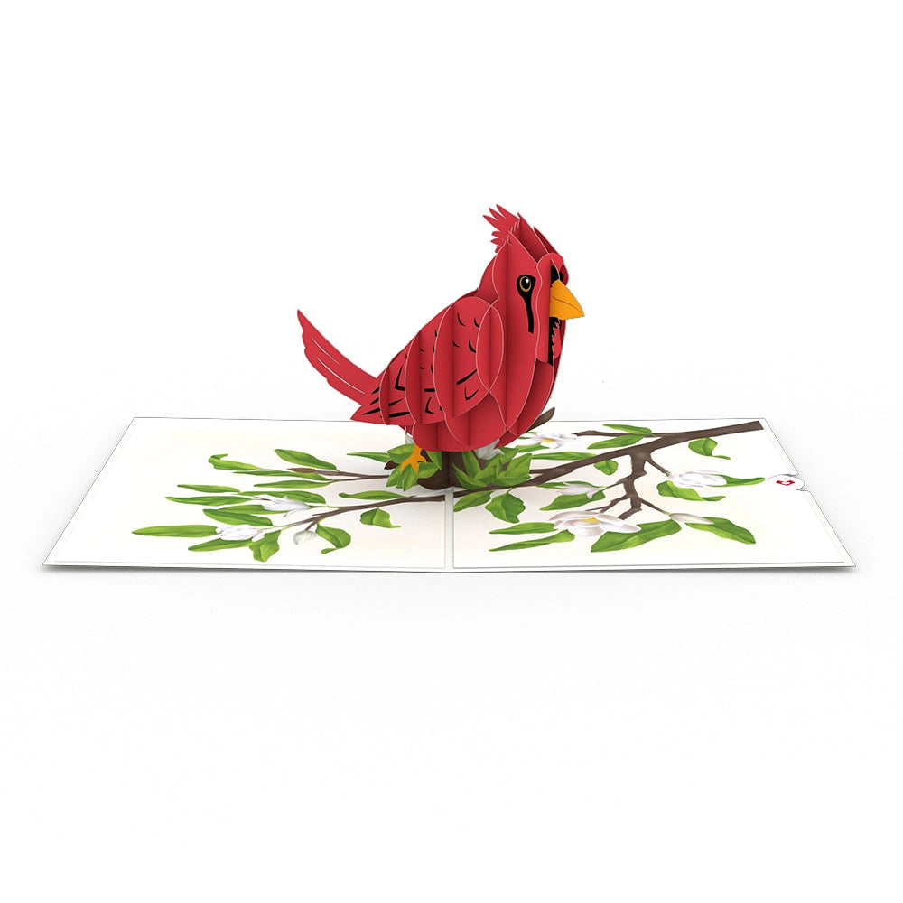 Full Card Radiant Cardinal Pop Up Card