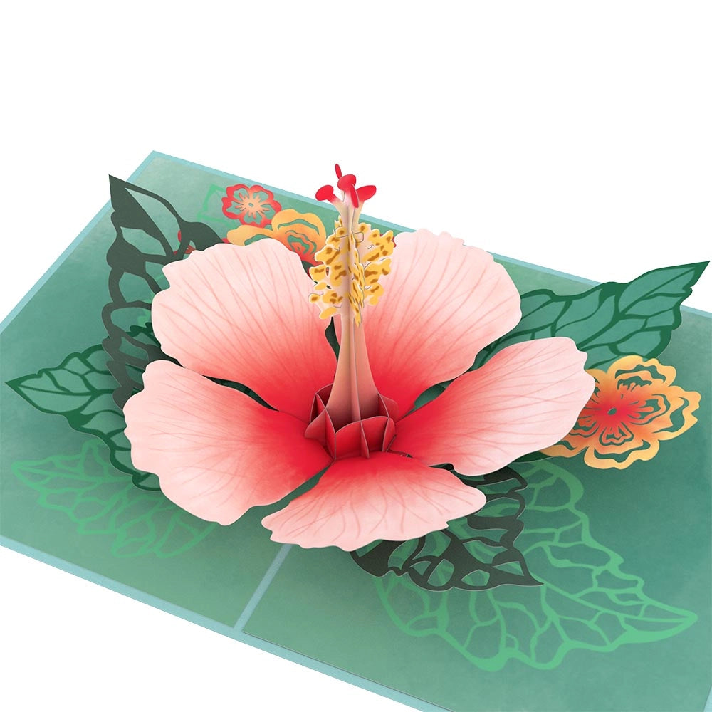 Hibiscus Bloom Pop Up Card