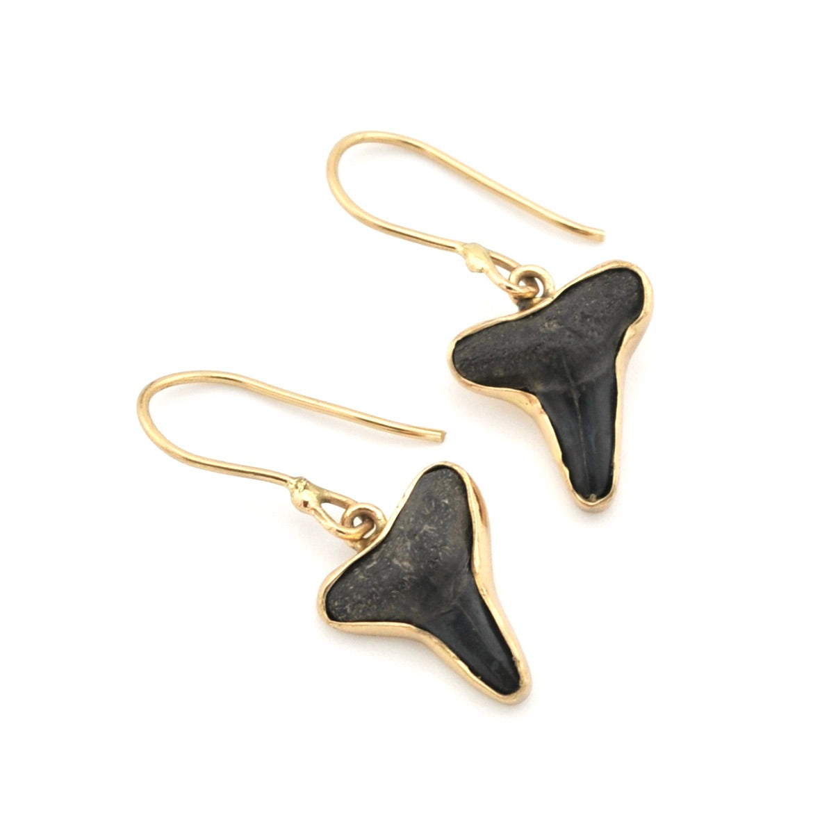 Lemon Shark Tooth Earrings