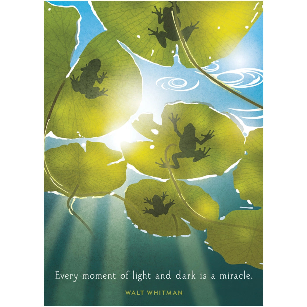 Lilypad Light Birthday Card
