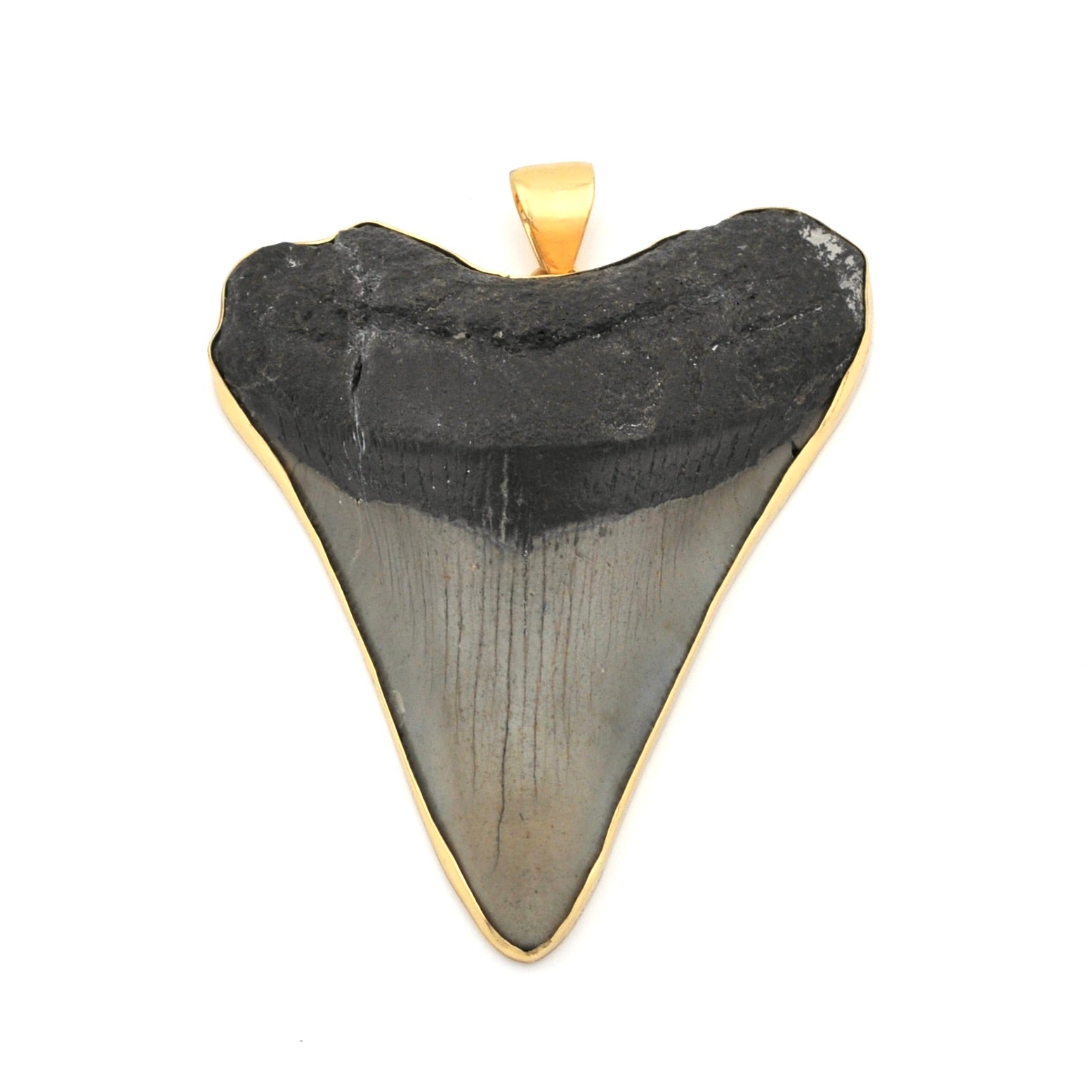 Megalodon Shark Tooth 3.125" Pendant
