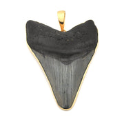Megalodon Shark Tooth 3.875" Pendant