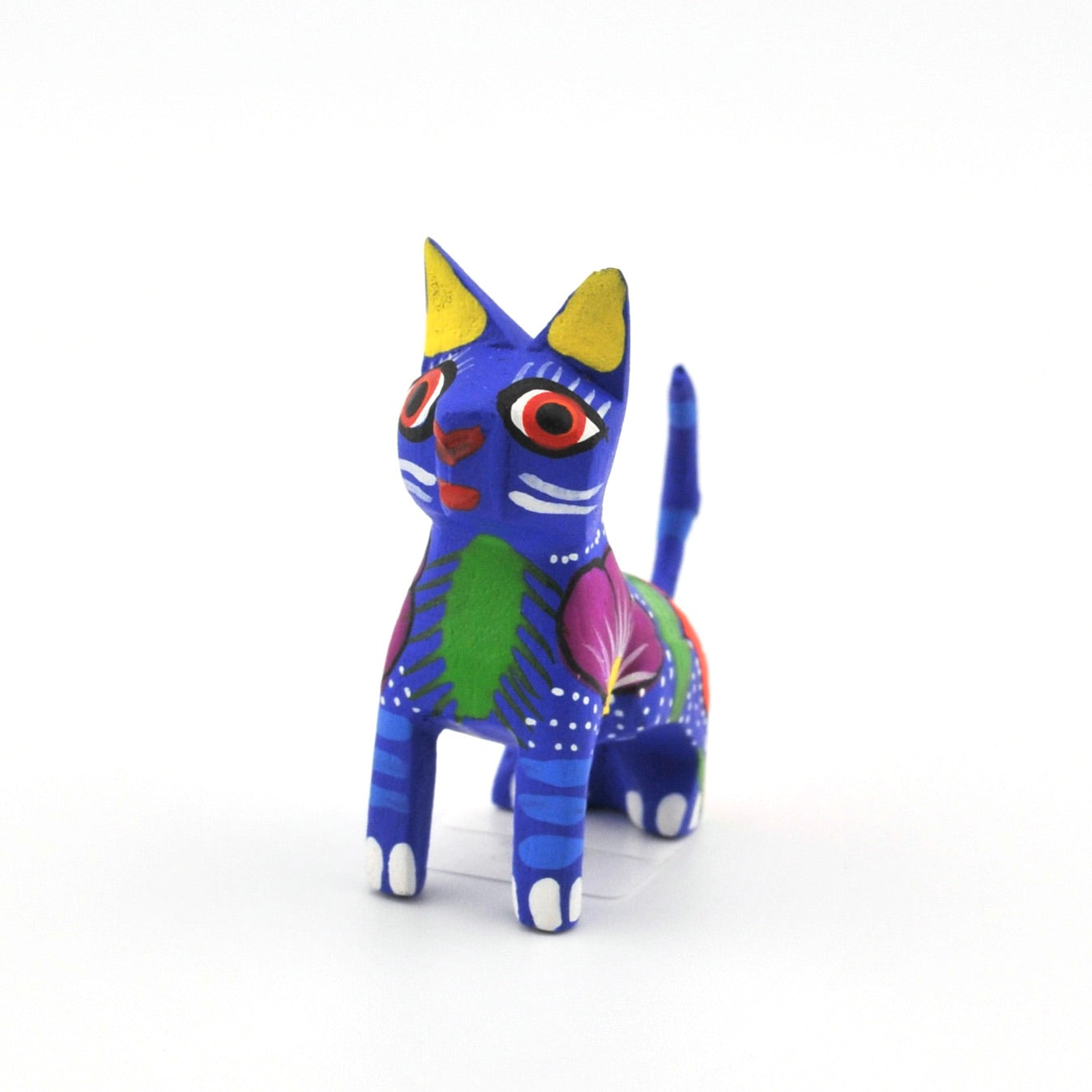 Oaxacan Cat Sitting by Matias
