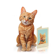 Orange tabby cat sitting next to a greeting card with a cat illustration on a white background