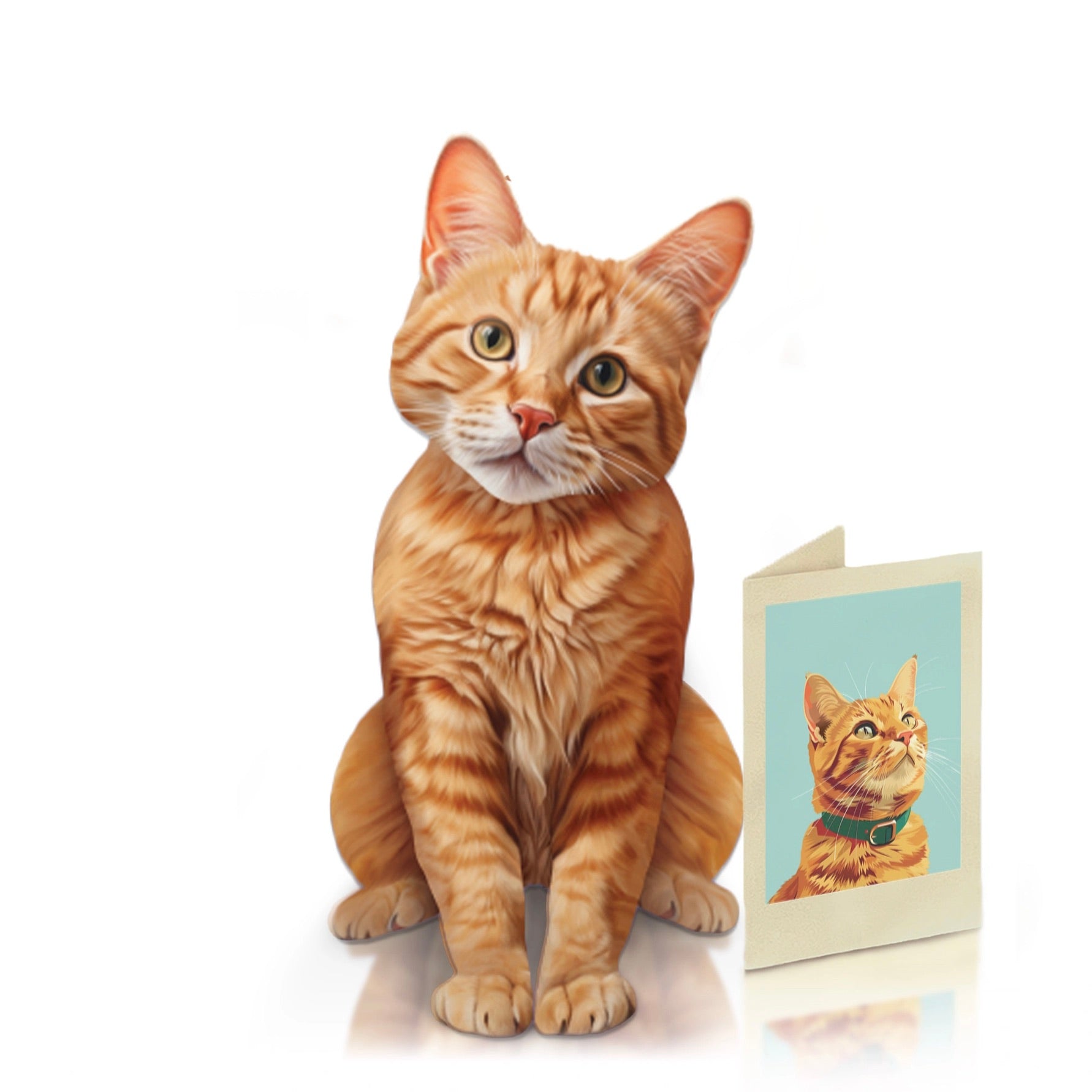 Orange tabby cat sitting next to a greeting card with a cat illustration on a white background