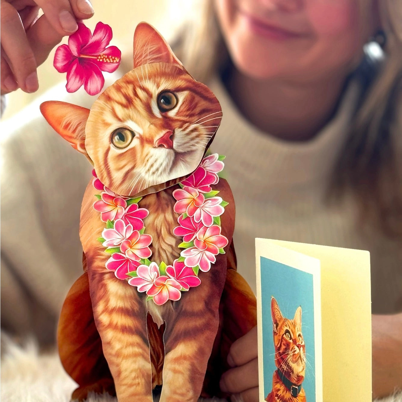 Cat wearing a floral wreath with a person holding a photo of the cat.