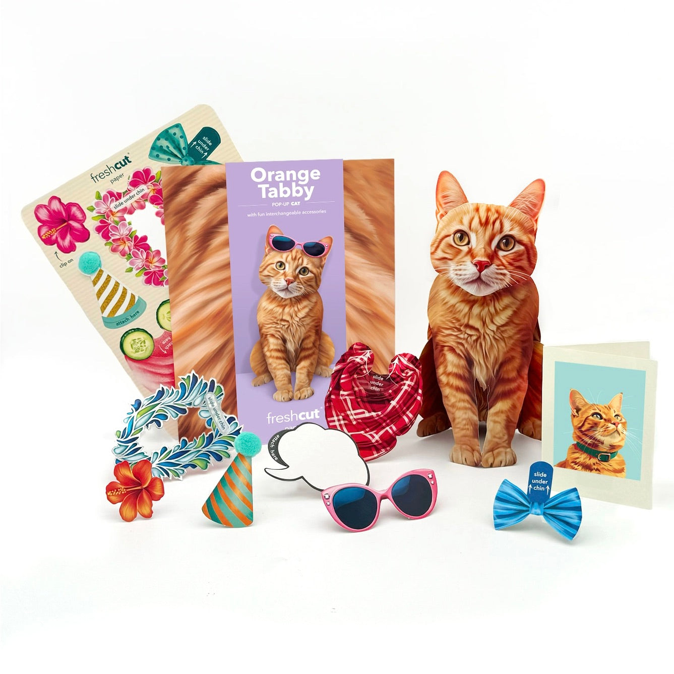 Collection of cat-themed products including a cat toy, sunglasses, and a bow tie on a white background.