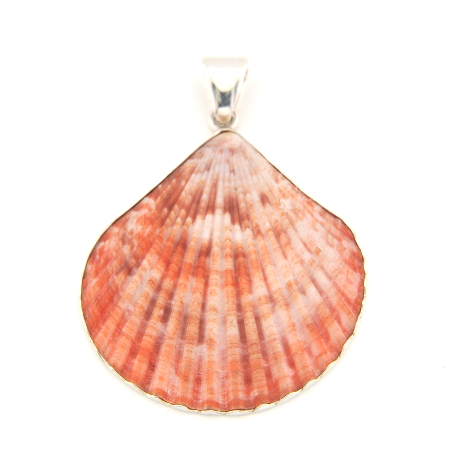 Shell pendant with a silver setting on a white background